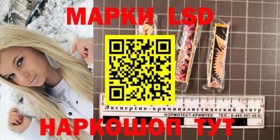 гашик Кимры