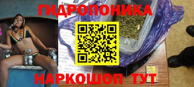 гашик Кимры