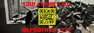 гидра Новокубанск