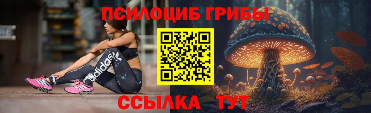 Кирово-Чепецк  Галлюциногенные грибы MAGIC MUSHROOMS  Вход с VPN  продажа наркотиков  Галлюциногенные грибы прущие грибы 